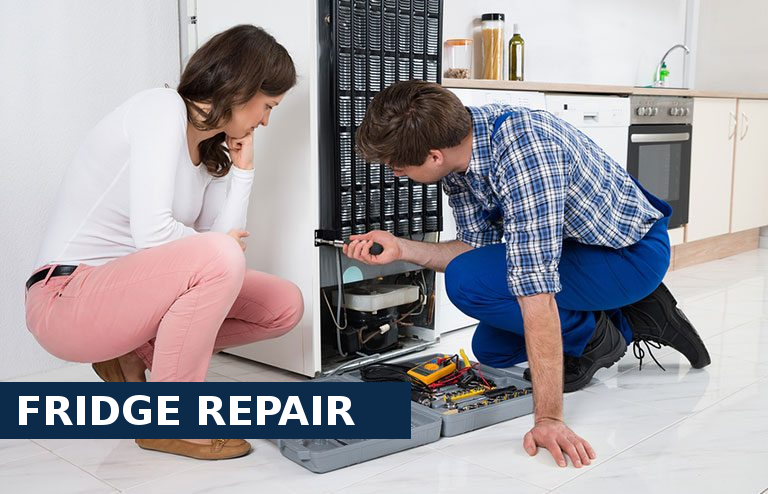 Fridge Repair Orpington